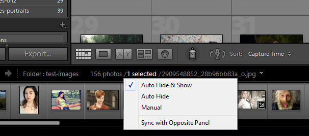 Auto-Hide Lightroom Panels