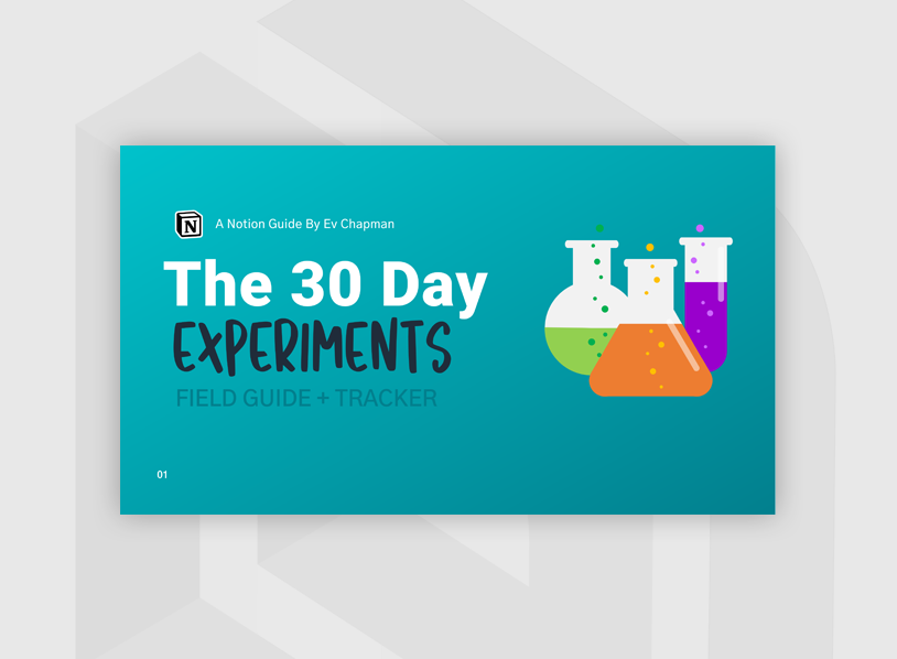 The 30 Day Level Up Habits Field Guide + Notion HQ Tracker