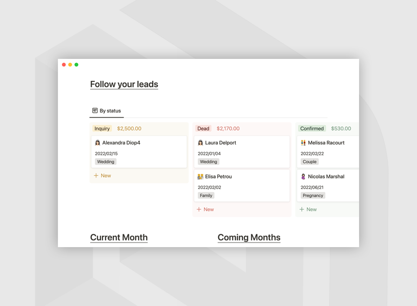 Lead and Clients Management for Photographers Notion Template
