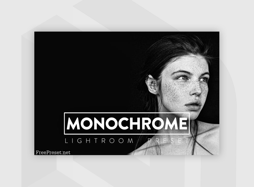 10 Monochrome Lightroom Presets