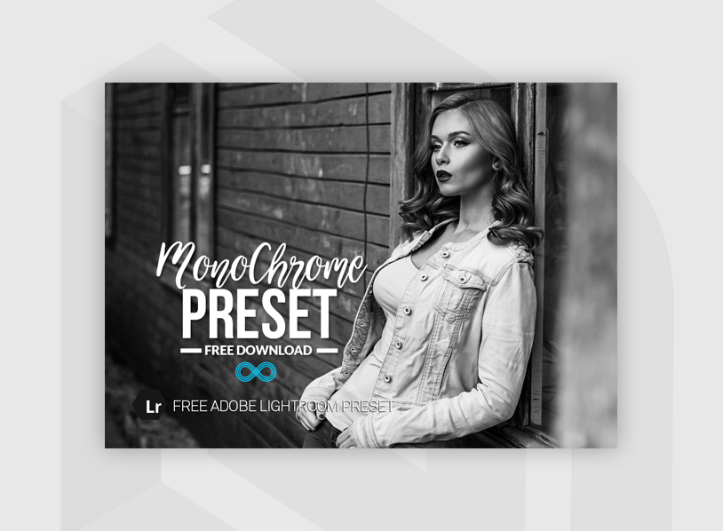 Free Monochrome Lightroom Preset