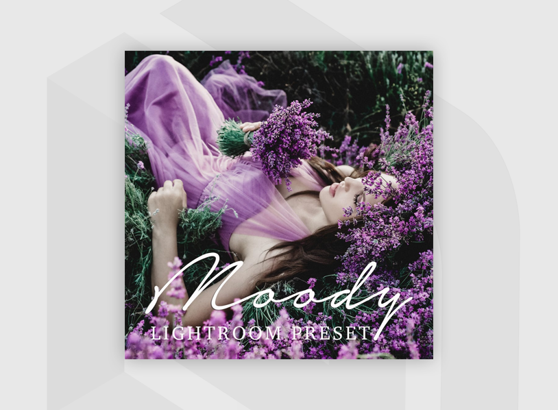 Free Moody Lightroom Preset
