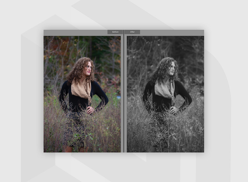 Shadowze - Free Lightroom Preset