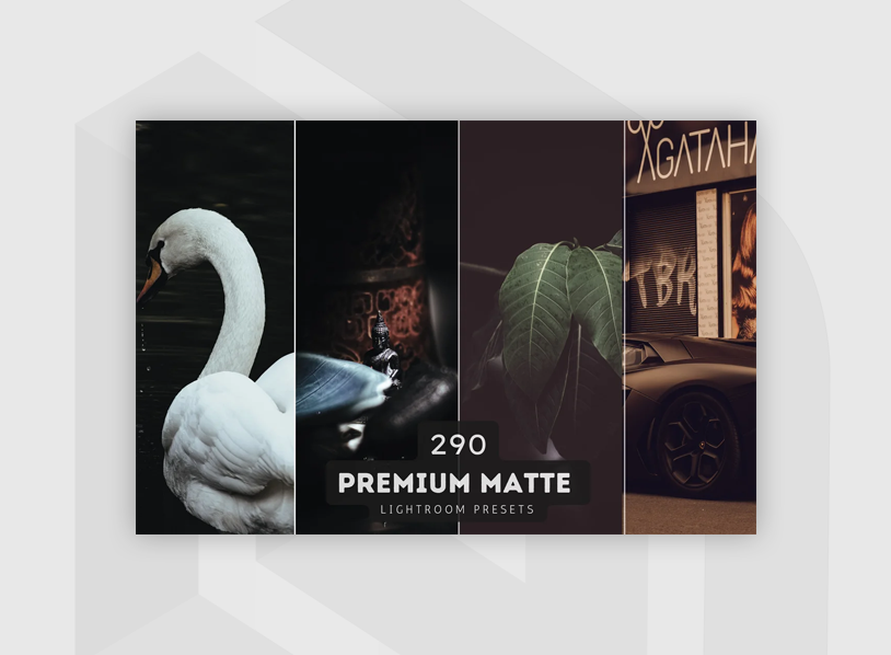 290 Matte Lightroom Presets Bundle