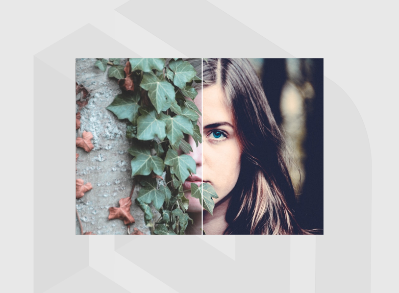 Faded Portraits Lightroom Presets