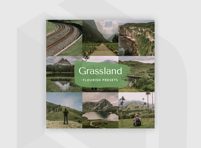 Grassland 