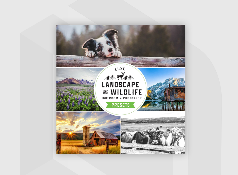 Landscapes & Wildlife Lightroom Presets – Desktop & Mobile