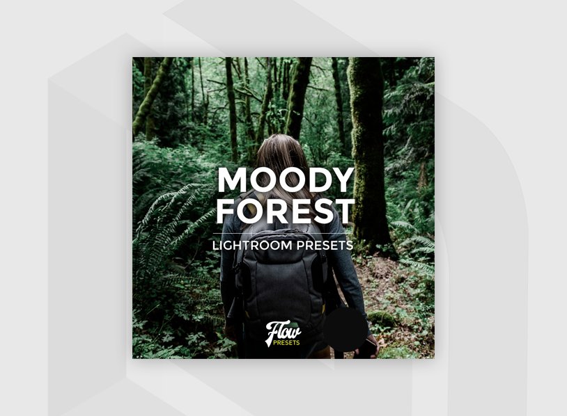Moody Forest