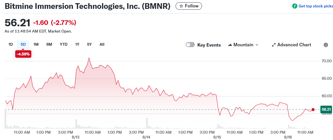 Bitmine Immersion Technologies, Inc. (BMNR)
