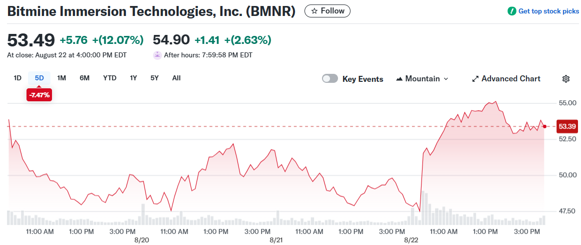 Bitmine Immersion Technologies, Inc. (BMNR)