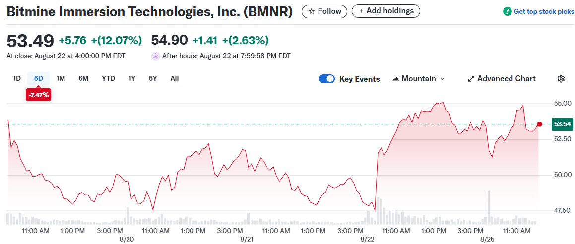 Bitmine Immersion Technologies, Inc. (BMNR)