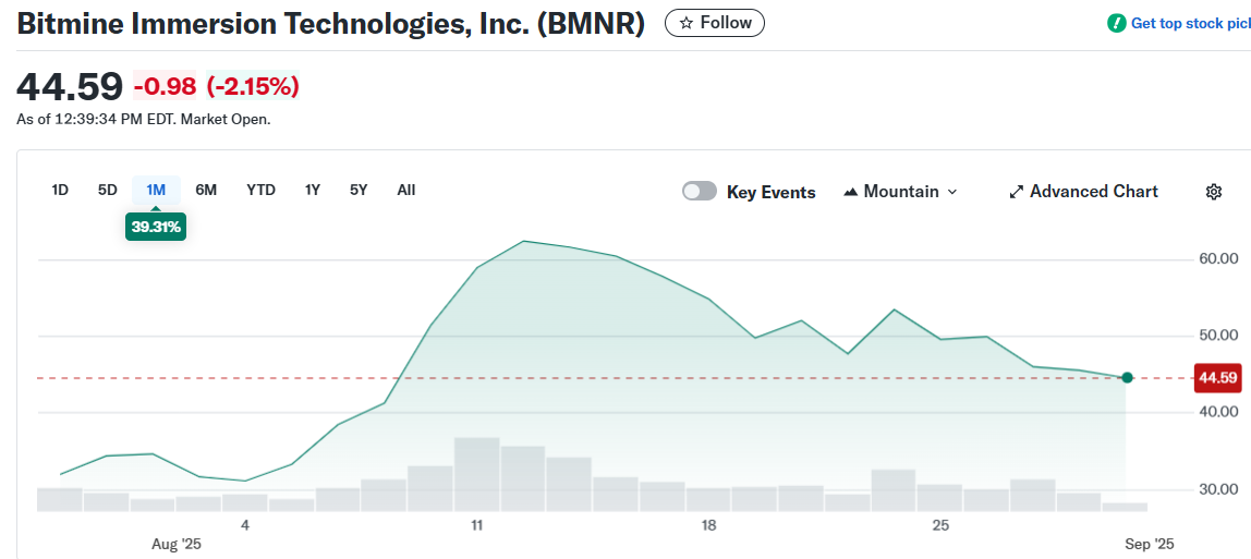 Bitmine Immersion Technologies, Inc. (BMNR)