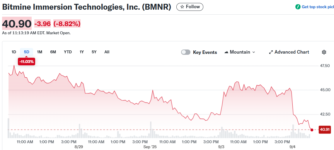 Bitmine Immersion Technologies, Inc. (BMNR)