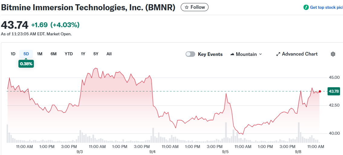 Bitmine Immersion Technologies, Inc. (BMNR)