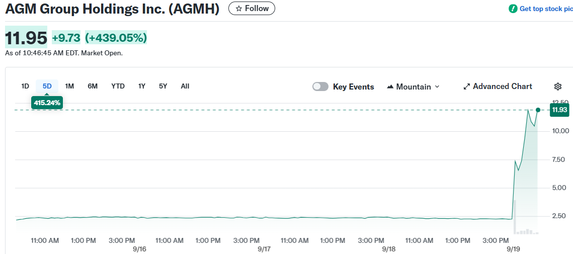 AGM Group Holdings Inc. (AGMH)