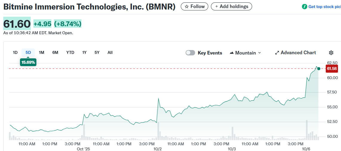 Bitmine Immersion Technologies, Inc. (BMNR)