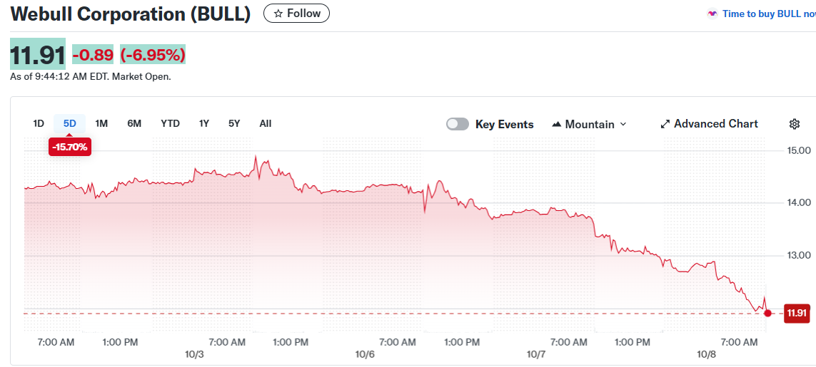 Webull Corporation (BULL)