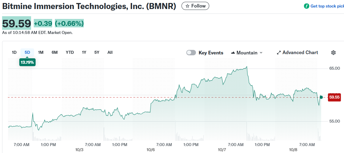 Bitmine Immersion Technologies, Inc. (BMNR)