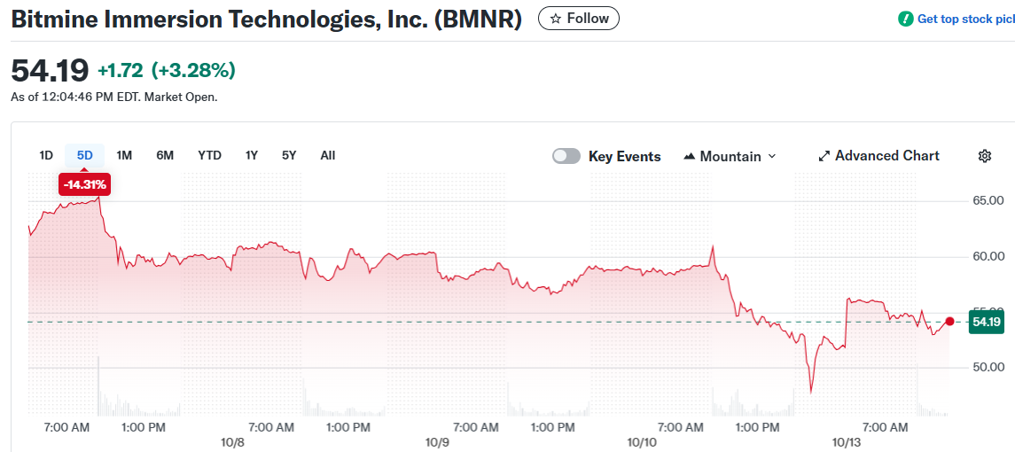 Bitmine Immersion Technologies, Inc. (BMNR)