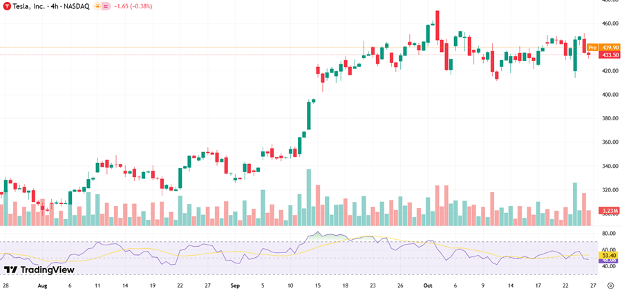 Tesla Stock (NASDAQ: TSLA) Down 3.4% Following Former CEO's Survival Concerns